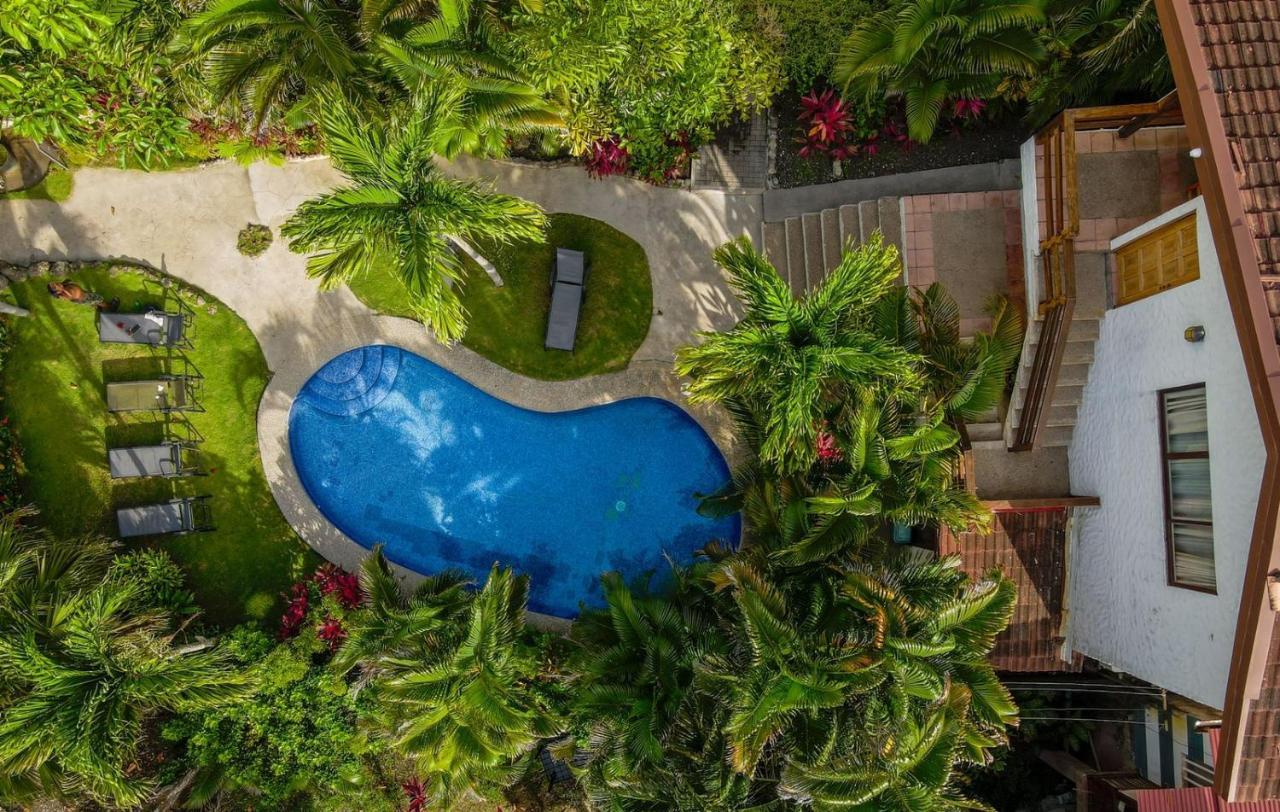 Ola Bonita Beachfront Apart Hotel 플라야 에르모사 외부 사진